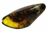 Polished Chiapas Amber ( g) - Mexico #114947-1